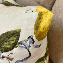 Load image into Gallery viewer, Schumacher 'La Citron' Linen Pillow