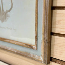 Load image into Gallery viewer, Beige Coral Art IV