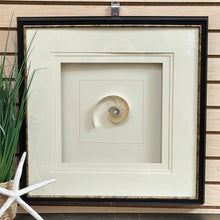 Load image into Gallery viewer, 'Pearled Nautilus II' Art