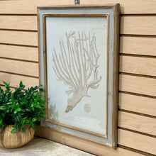 Load image into Gallery viewer, Beige Coral Art II