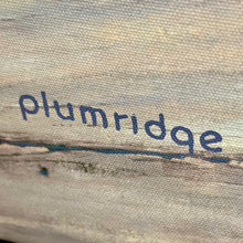 Load image into Gallery viewer, Don Plumridge 'High & Dry' Giclee