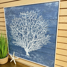 Load image into Gallery viewer, Framed White Seafan II
