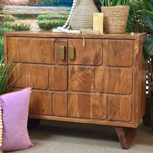 Load image into Gallery viewer, 2DR Wood Panel Cabinet