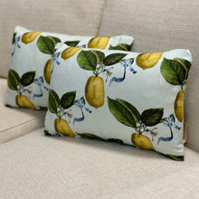 Load image into Gallery viewer, Schumacher 'La Citron' Linen Lumbar