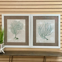 Load image into Gallery viewer, Paragon 'Gorgonia On Linen II'
