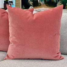 Load image into Gallery viewer, Salmon Velvet Down Designer Pillow