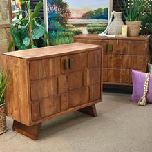 Load image into Gallery viewer, 2DR Wood Panel Cabinet