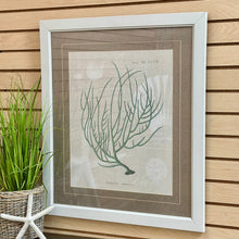 Load image into Gallery viewer, Paragon 'Gorgonia On Linen II'