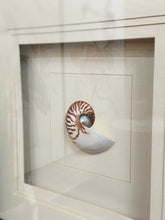 Load image into Gallery viewer, 'Natural Nautilus III' Art