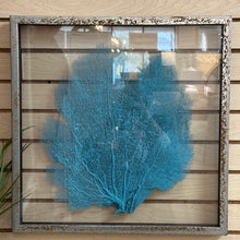 Load image into Gallery viewer, Med Glass Framed Sea Fan