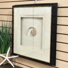 Load image into Gallery viewer, 'Natural Nautilus II' Art