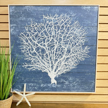 Load image into Gallery viewer, Framed White Seafan II