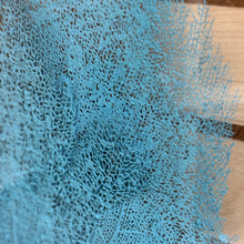 Load image into Gallery viewer, Med Glass Framed Sea Fan