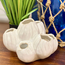 Load image into Gallery viewer, White Barnacle Decor