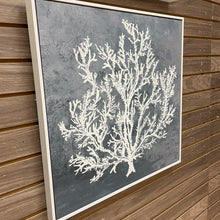 Load image into Gallery viewer, White Sea Life on Blue II