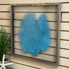 Load image into Gallery viewer, Med Glass Framed Sea Fan