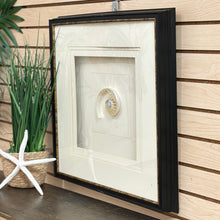 Load image into Gallery viewer, 'Pearled Nautilus II' Art