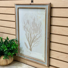 Load image into Gallery viewer, Beige Coral Art III