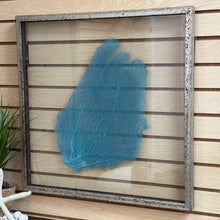 Load image into Gallery viewer, LG Glass Framed Sea Fan