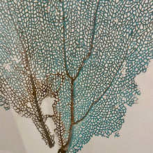 Load image into Gallery viewer, Wendover 'Blue Coral II' Art