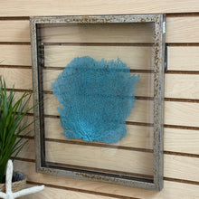 Load image into Gallery viewer, SM Glass Framed Sea Fan