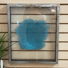 Load image into Gallery viewer, SM Glass Framed Sea Fan