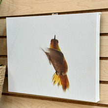 Load image into Gallery viewer, Kat Livengood Hummingbird Canvas