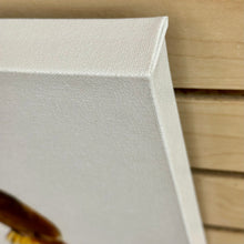 Load image into Gallery viewer, Kat Livengood Hummingbird Canvas