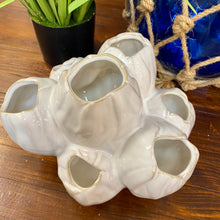 Load image into Gallery viewer, White Barnacle Decor