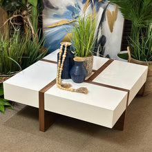 Load image into Gallery viewer, Modern Storage Coffee Table