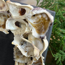 Load image into Gallery viewer, 4X6 Shell Pic Frame