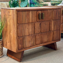 Load image into Gallery viewer, 2DR Wood Panel Cabinet