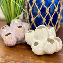 Load image into Gallery viewer, White Barnacle Decor