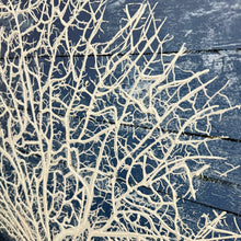 Load image into Gallery viewer, Framed White Seafan II