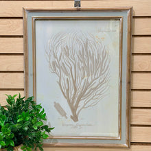 Load image into Gallery viewer, Beige Coral Art III