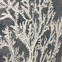 Load image into Gallery viewer, White Sea Life on Blue II