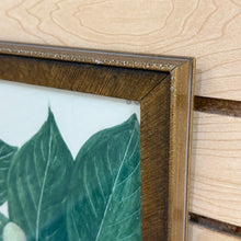 Load image into Gallery viewer, Gold Framed Botanical III
