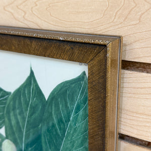 Gold Framed Botanical III