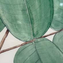 Load image into Gallery viewer, Gold Framed Botanical I
