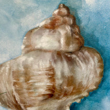 Load image into Gallery viewer, Coastal Shell III Art
