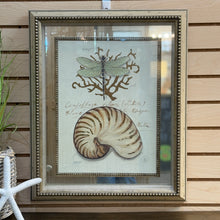 Load image into Gallery viewer, Framed Shell/Dragonfly Art
