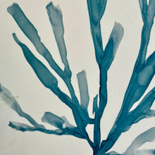 Load image into Gallery viewer, Blue Sea Plant I
