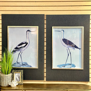 Uttermost Bird Print II