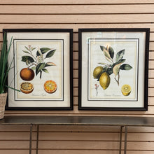 Load image into Gallery viewer, Framed Oranges Art
