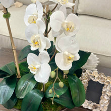 Load image into Gallery viewer, Faux Orchid In Pot
