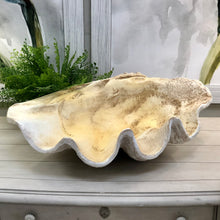 Load image into Gallery viewer, LG Clam Shell Decor
