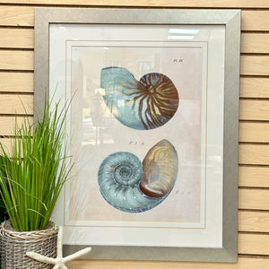 Turquoise & Taupe Shell Art