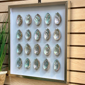 Framed Shell Art