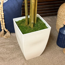 Load image into Gallery viewer, Faux Bamboo In White Pot
