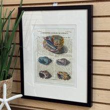 Load image into Gallery viewer, Shell I Art
